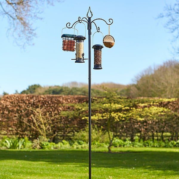 5022506033639 1 Banquet Bird Feeding Station.jpg